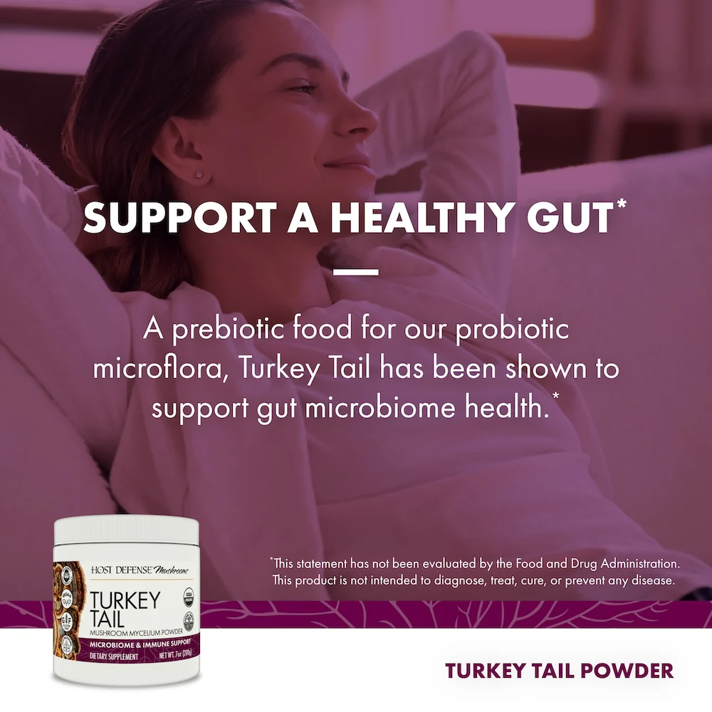 Turkey Tail Powder - Image 5