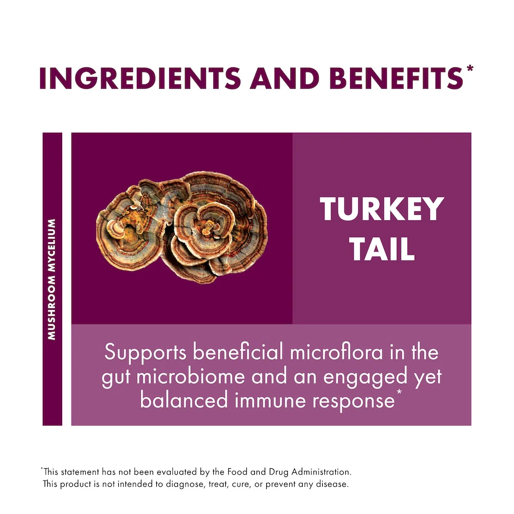 Turkey Tail Powder - Image 3